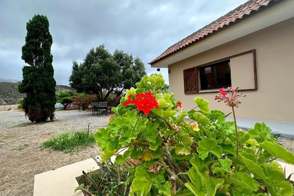 Peaceful Oasis With Magical Sea Views And A Pool Villa Santa Cruz de Tenerife Exterior photo